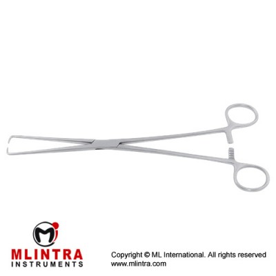 Braun Tenaculum Forcep Stainless Steel, 26 cm - 10 1/4" 